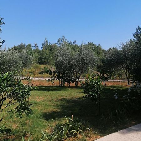 Apartman Petovic Kotor Exterior foto
